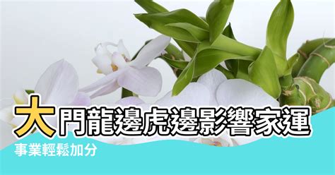 龍邊虎邊怎麼分|【龍邊虎邊怎麼看】風水上常聽到的龍虎邊怎麼分呢 